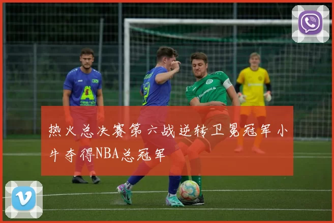 热火总决赛第六战逆转卫冕冠军小牛夺得NBA总冠军
