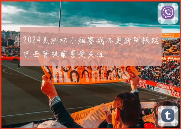 2024美洲杯小组赛战况更新阿根廷巴西晋级前景受关注