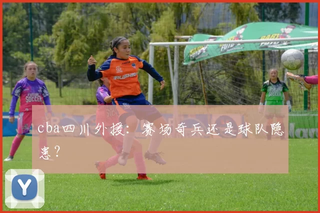 cba四川外援：赛场奇兵还是球队隐患？